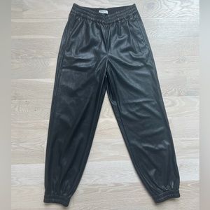Aritzia Leather Pants